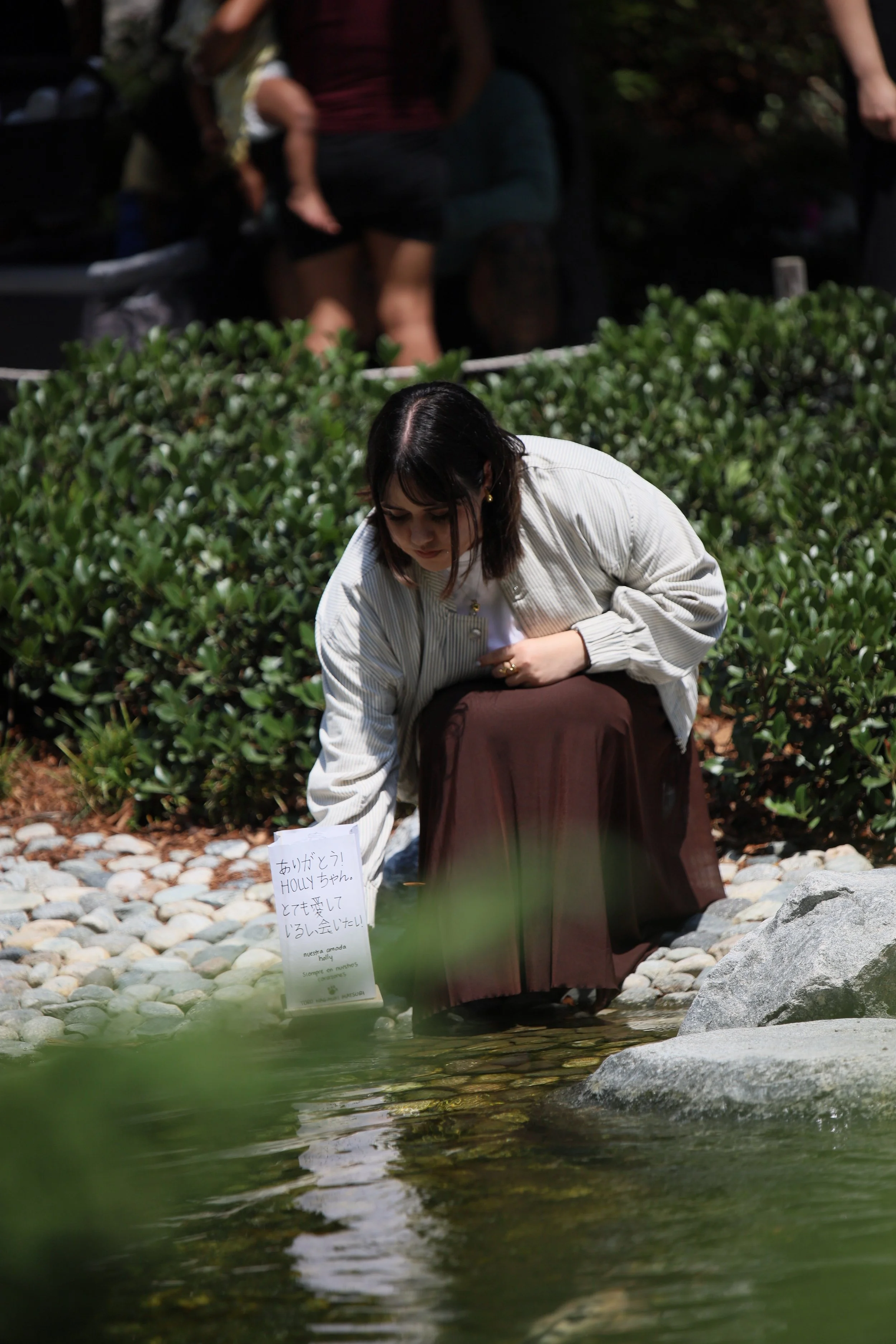 Toro Nagashi Festival — Japanese Friendship Garden